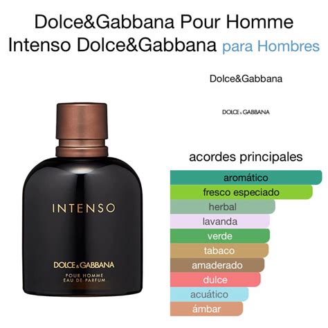 dolce and gabbana intenso fake|dolce and gabbana intenso notes.